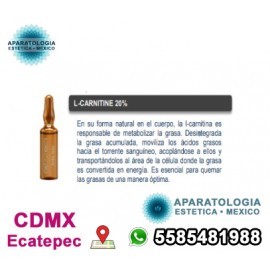 L-CARNITINE 20%