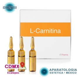 L CARNITINA EFECTO ALISANTE