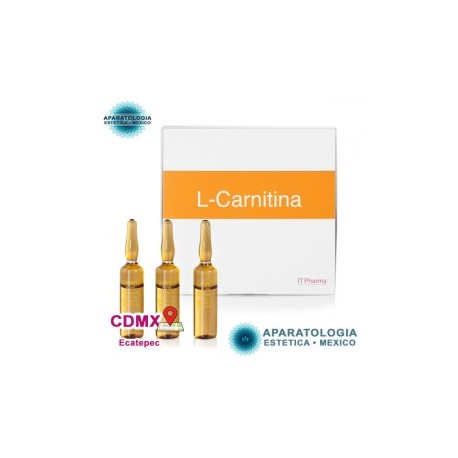L CARNITINA EFECTO ALISANTE