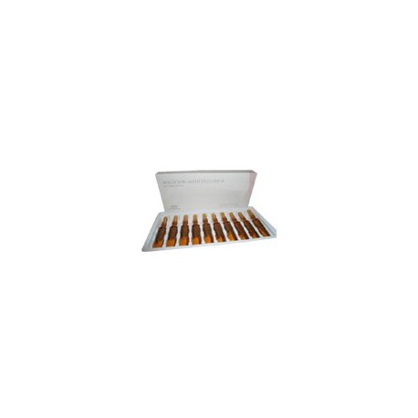 SILICIO ORGANICO ( COYONTIL ) (AMP 5 ML)